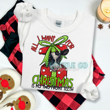 Load image into Gallery viewer, ALL I WANT FOR CHRISTMAS IS MY TWO FRONT TEETH