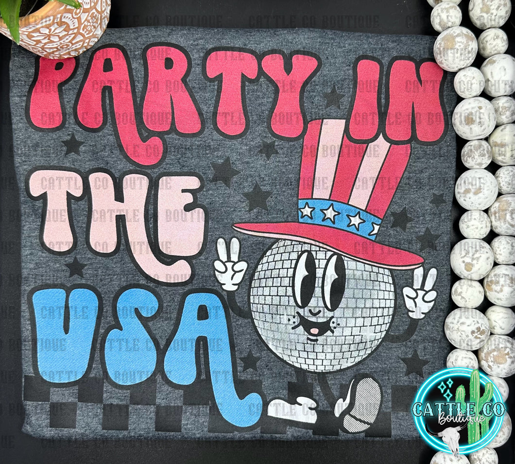 PARTY IN THE USA